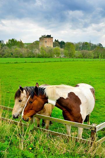 The Arches, Borthwick Mains Farm, Villa Gorebridge ภายนอก รูปภาพ
